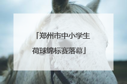 郑州市中小学生荷球锦标赛落幕