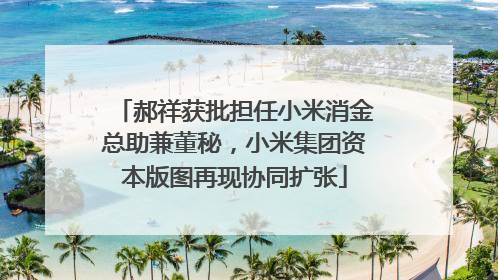 郝祥获批担任小米消金总助兼董秘，小米集团资本版图再现协同扩张