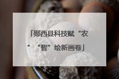 郧西县科技赋“农”“智”绘新画卷