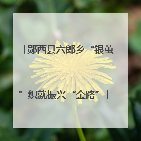郧西县六郎乡“银茧”织就振兴“金路”