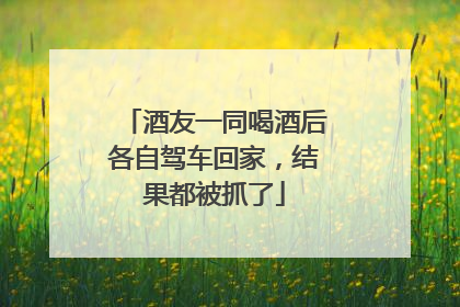酒友一同喝酒后各自驾车回家，结果都被抓了