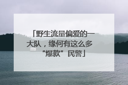野生流量偏爱的一大队，缘何有这么多“爆款”民警