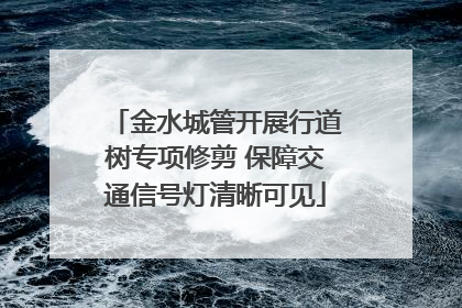金水城管开展行道树专项修剪 保障交通信号灯清晰可见