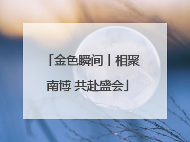 金色瞬间丨相聚南博 共赴盛会