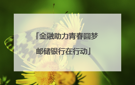 金融助力青春圆梦邮储银行在行动