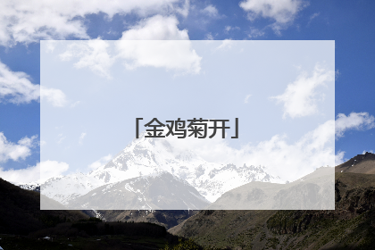 金鸡菊开