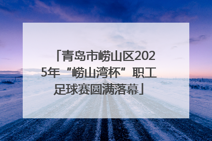 青岛市崂山区2025年“崂山湾杯”职工足球赛圆满落幕