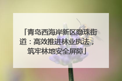青岛西海岸新区隐珠街道：高效推进林业执法，筑牢林地安全屏障