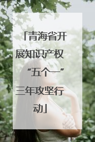 青海省开展知识产权“五个一”三年攻坚行动