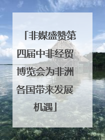 非媒盛赞第四届中非经贸博览会为非洲各国带来发展机遇
