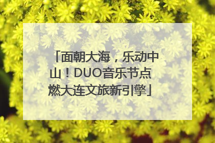 面朝大海，乐动中山！DUO音乐节点燃大连文旅新引擎