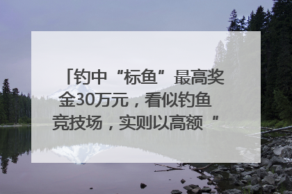 钓中“标鱼”最高奖金30万元，看似钓鱼竞技场，实则以高额“回报”作“饵”……｜今晚九点半