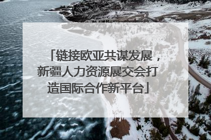 链接欧亚共谋发展，新疆人力资源展交会打造国际合作新平台