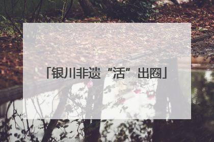 银川非遗“活”出圈