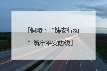铜陵：“铸安行动”筑牢平安防线