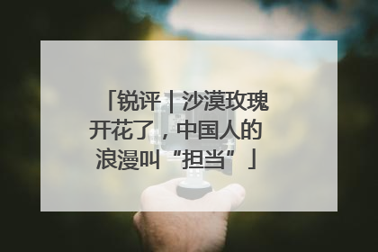 锐评｜沙漠玫瑰开花了，中国人的浪漫叫“担当”