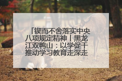 锲而不舍落实中央八项规定精神丨黑龙江双鸭山：以学促干推动学习教育走深走实 从小事入手写好“民生答卷”