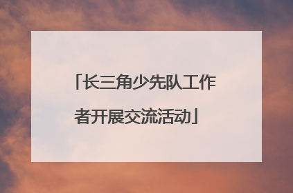 长三角少先队工作者开展交流活动