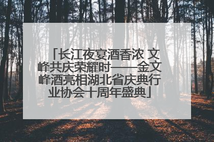 长江夜宴酒香浓 文峰共庆荣耀时——金文峰酒亮相湖北省庆典行业协会十周年盛典