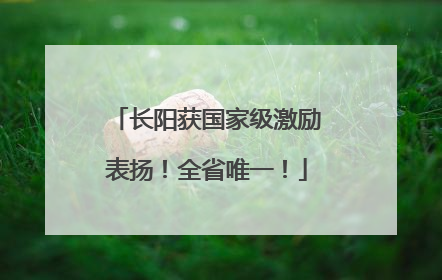 长阳获国家级激励表扬！全省唯一！