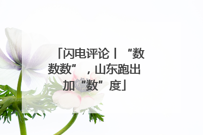 闪电评论丨“数数数”，山东跑出加“数”度
