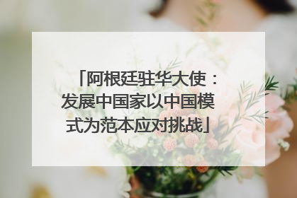 阿根廷驻华大使：发展中国家以中国模式为范本应对挑战