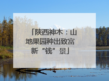 陕西神木：山地果园种出致富新“钱”景