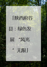 陕西府谷县：绿色发展 “风光”无限