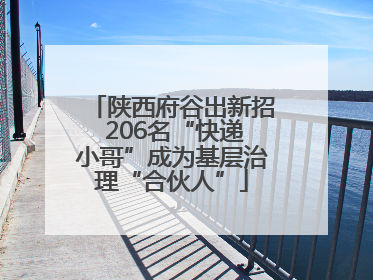 陕西府谷出新招 206名“快递小哥”成为基层治理“合伙人”