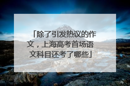 除了引发热议的作文，上海高考首场语文科目还考了哪些