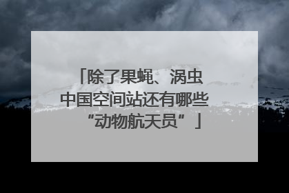 除了果蝇、涡虫 中国空间站还有哪些“动物航天员”