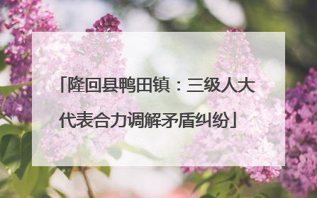 隆回县鸭田镇：三级人大代表合力调解矛盾纠纷