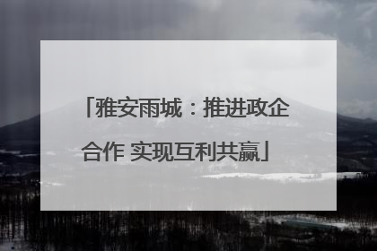 雅安雨城：推进政企合作 实现互利共赢