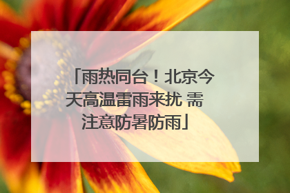 雨热同台！北京今天高温雷雨来扰 需注意防暑防雨