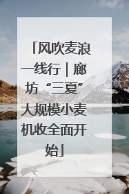 风吹麦浪一线行｜廊坊“三夏”大规模小麦机收全面开始