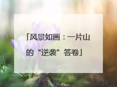 风景如画：一片山的“逆袭”答卷