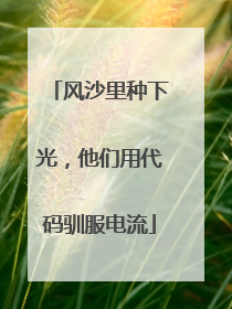 风沙里种下光，他们用代码驯服电流