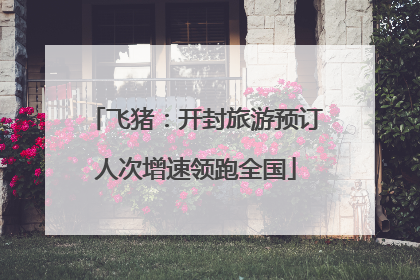 飞猪：开封旅游预订人次增速领跑全国