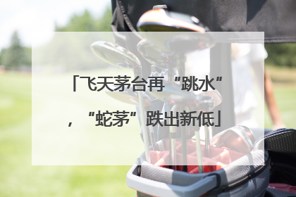 飞天茅台再“跳水”，“蛇茅”跌出新低