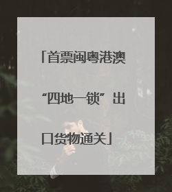 首票闽粤港澳“四地一锁”出口货物通关