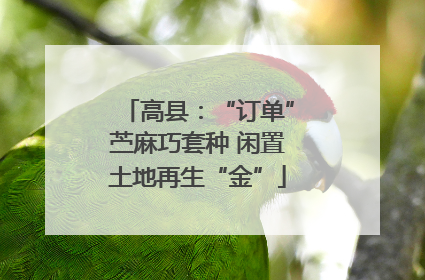 高县：“订单”苎麻巧套种 闲置土地再生“金”