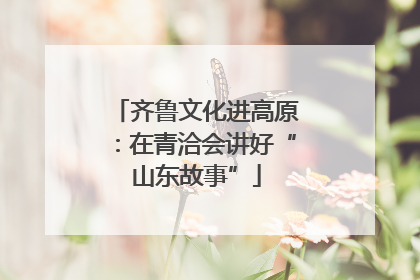 齐鲁文化进高原：在青洽会讲好“山东故事”
