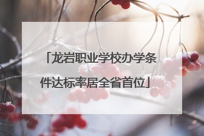 龙岩职业学校办学条件达标率居全省首位