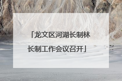 龙文区河湖长制林长制工作会议召开