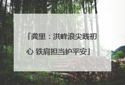 龚里：洪峰浪尖践初心 铁肩担当护平安