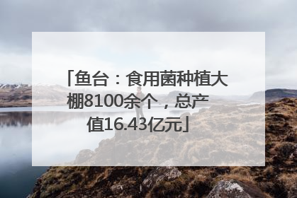 鱼台：食用菌种植大棚8100余个，总产值16.43亿元