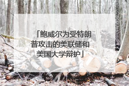鲍威尔为受特朗普攻击的美联储和美国大学辩护