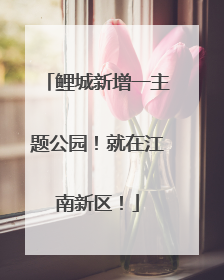 鲤城新增一主题公园！就在江南新区！