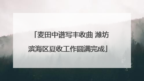 麦田中谱写丰收曲 潍坊滨海区夏收工作圆满完成