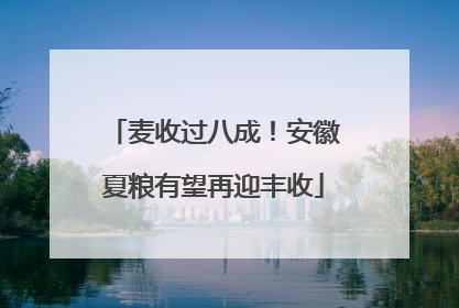 麦收过八成！安徽夏粮有望再迎丰收